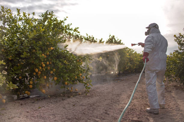 Heritage Pines, FL Pest Control Company