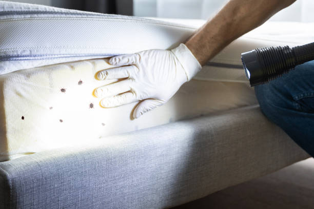 Best Insect Control  in Heritage Pines, FL